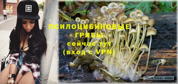 гидропоника Нея