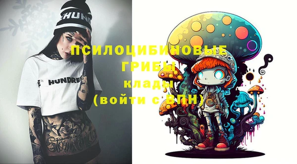 меф Нефтегорск