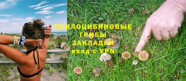 гидропоника Нея
