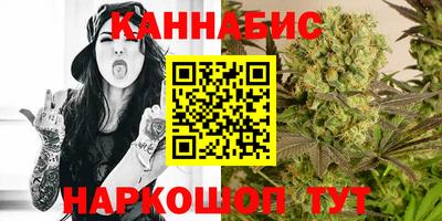 apvp Камышлов