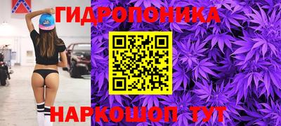 тгк Кандалакша