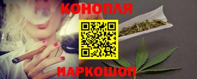 apvp Камышлов
