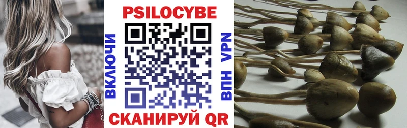 Галлюциногенные грибы Psilocybe  Канск 