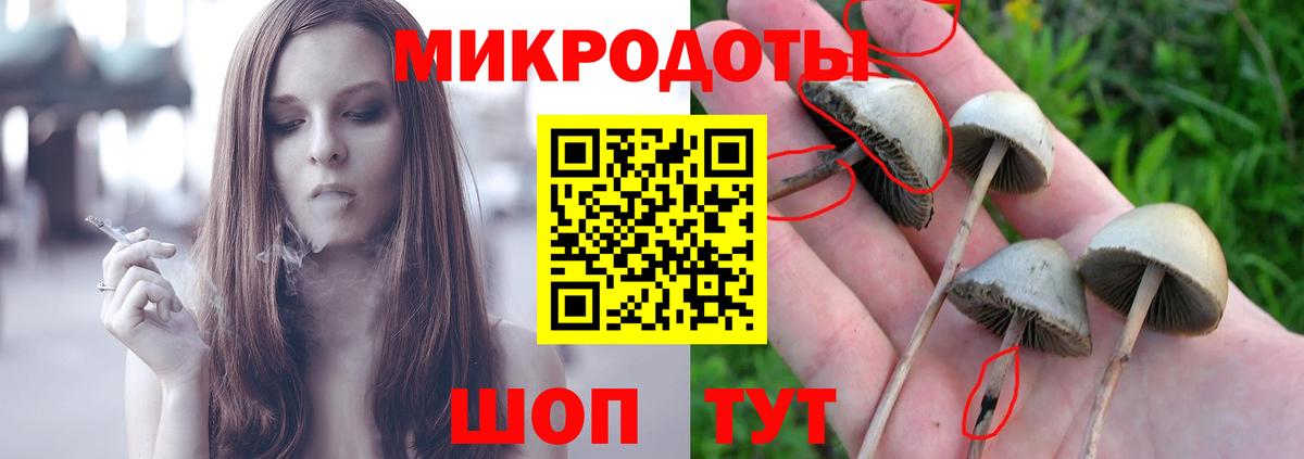 Псилоцибиновые грибы MAGIC MUSHROOMS  Вход с VPN  Галлюциногенные грибы Cubensis  Канск 